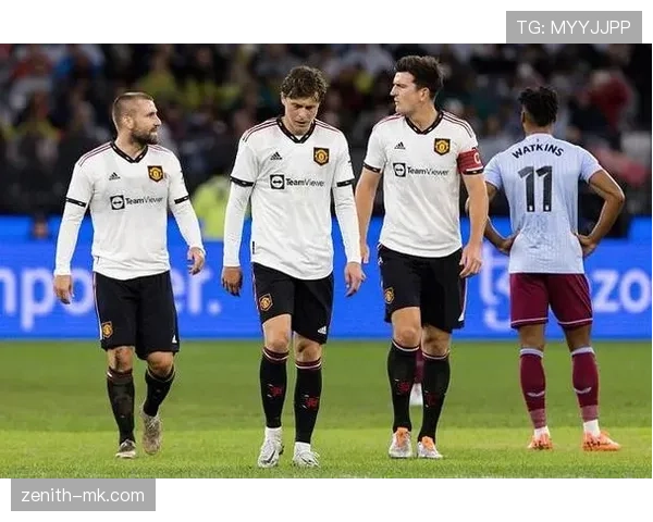 B费战术适配性解析